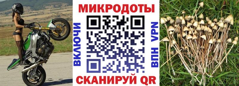 blacksprut как зайти  Озёры  Псилоцибиновые грибы мицелий  купить наркоту 